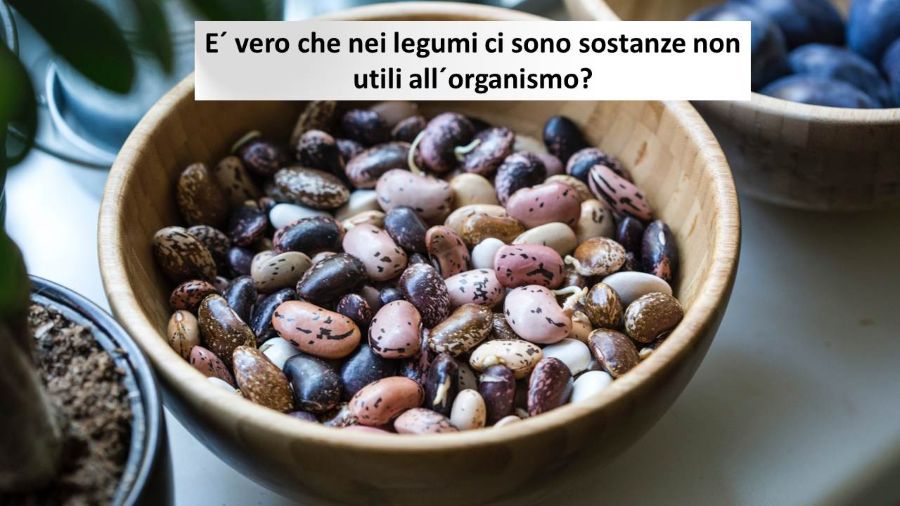 FAQ20