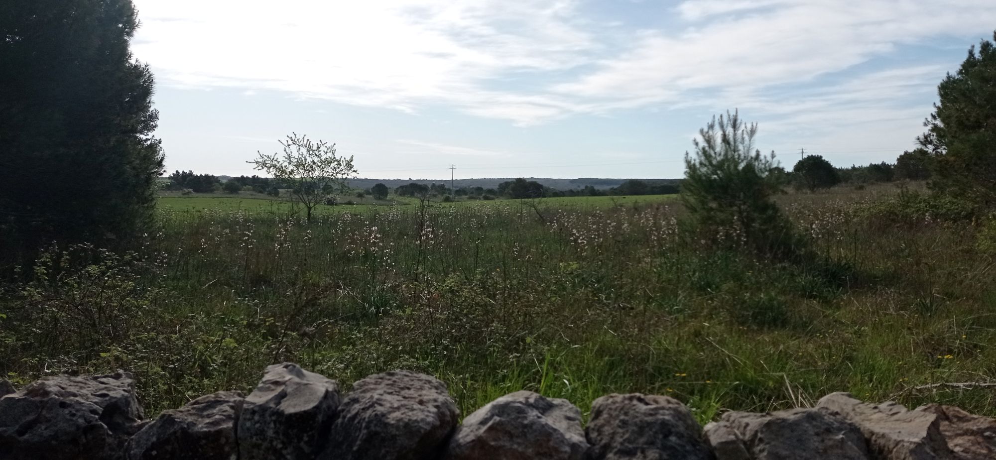 Finestra sulla Murgia (Foresta di Mercadante, Cassano delle Murge)
